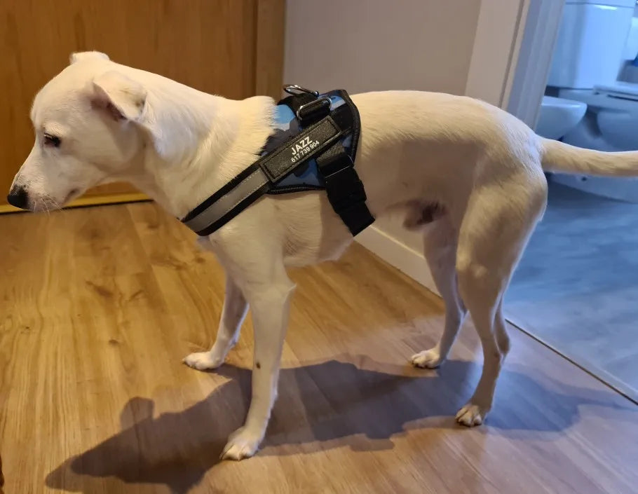 Dog Harness Vest ID Patch Customized Reflective Breathable Adjustable