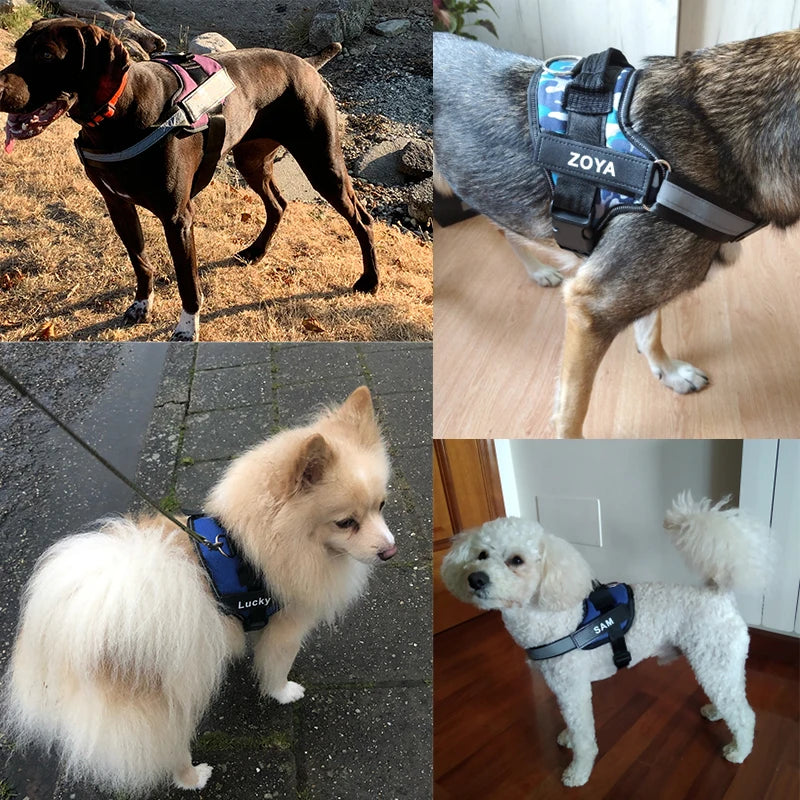 Personalized Dog Harness No Pull for Small Large Dog Reflective