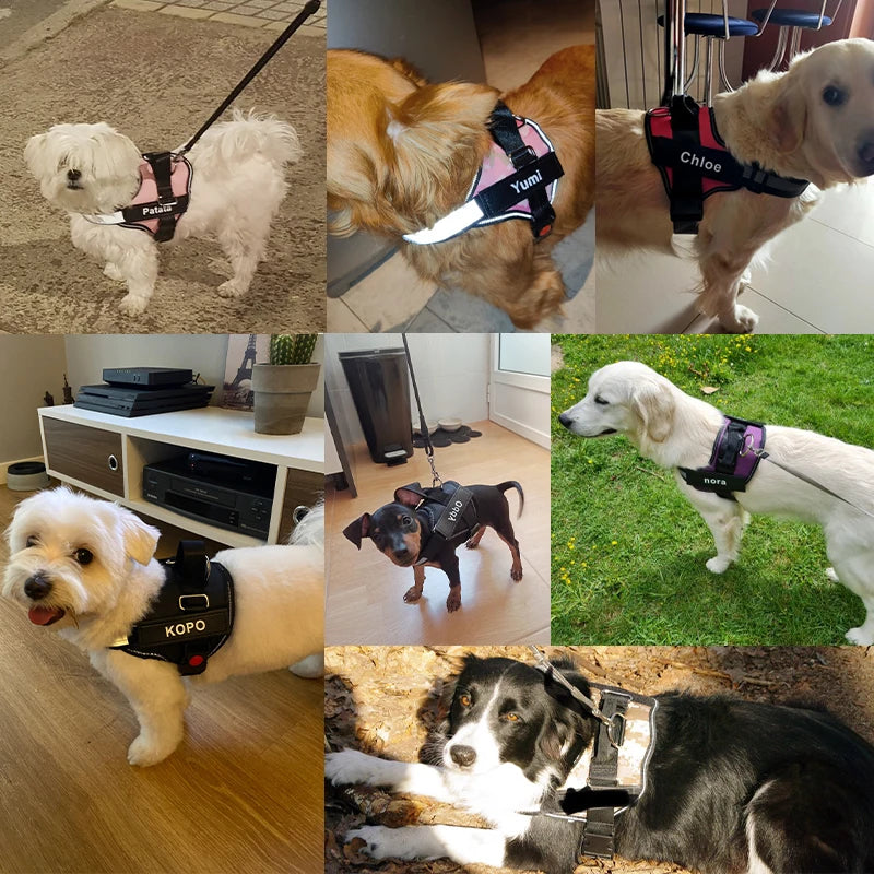 Personalized Dog Harness NO PULL Reflective Breathable.