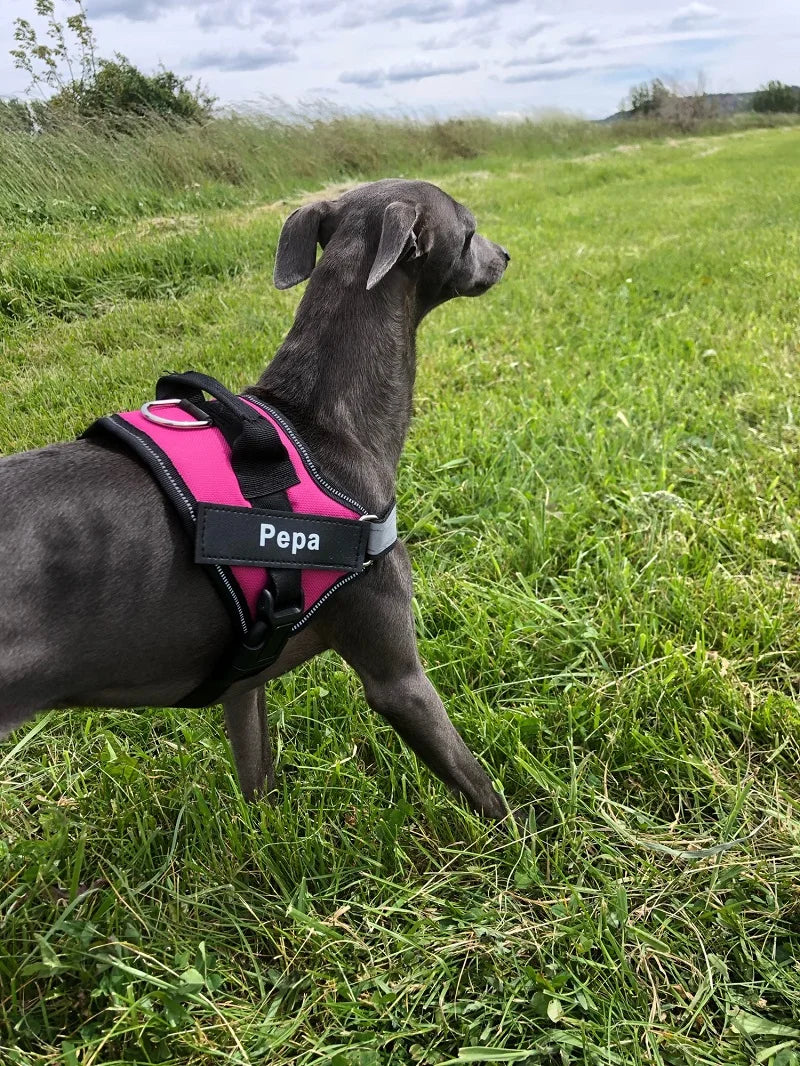 Personalized Dog Harness No Pull for Small Large Dog Reflective