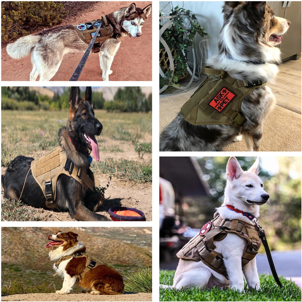 Military Large Dog Harness Collar Leash Bags Patches Set
