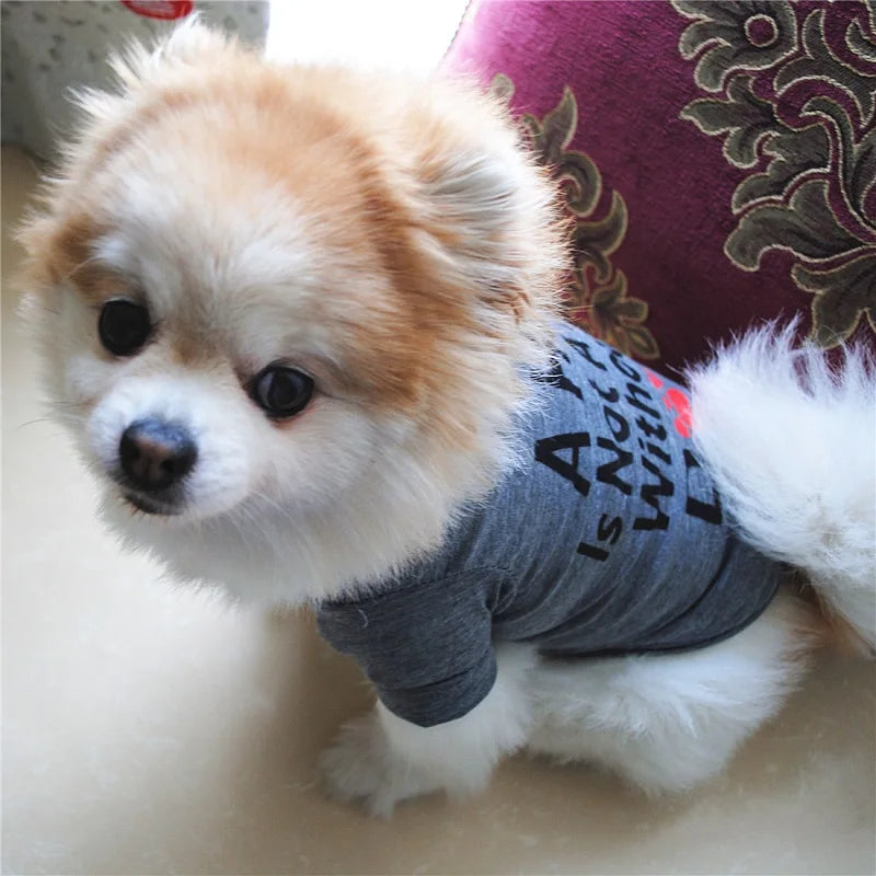 Fashionable pet clothes cute dog vest shirt dog costume