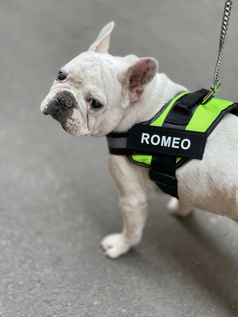 Personalized Dog Harness No Pull for Small Large Dog Reflective