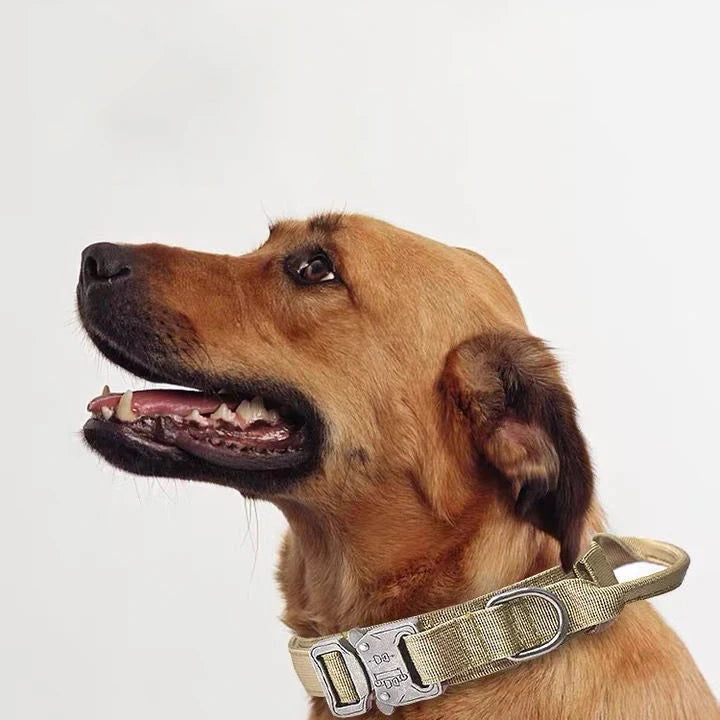 Pet Dog Collar Leash Set Nylon Material Durable Dog Collar Reflective