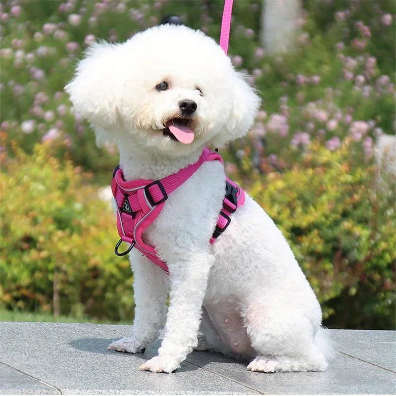 No Pull Dog Harness and Leash Set Adjustable Pet Harness Vest.