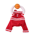Funny Basketball Cosplay Pet Costume