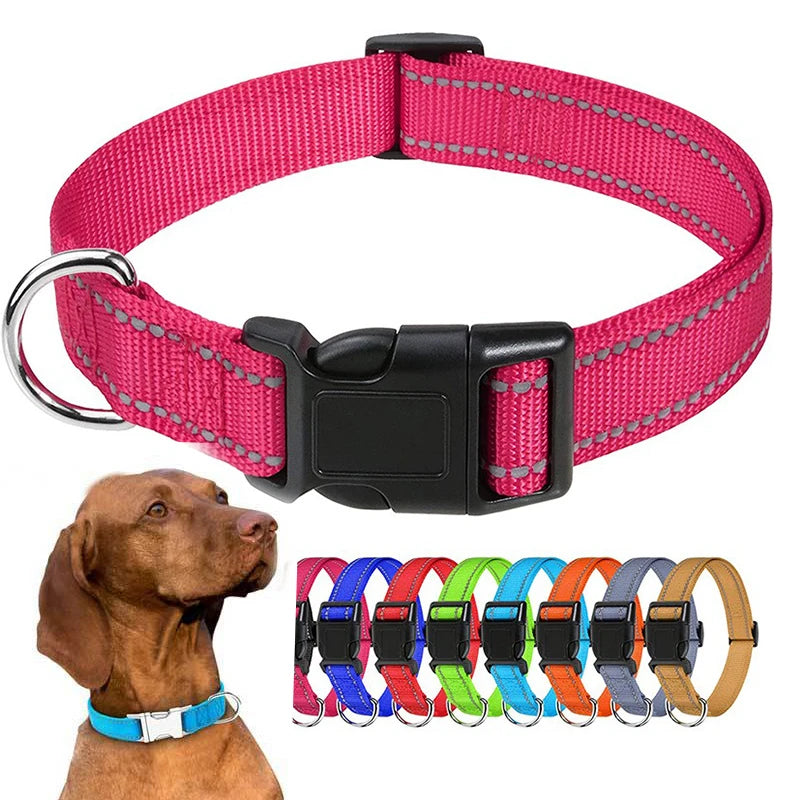 Choker Neck Collars for Dogs