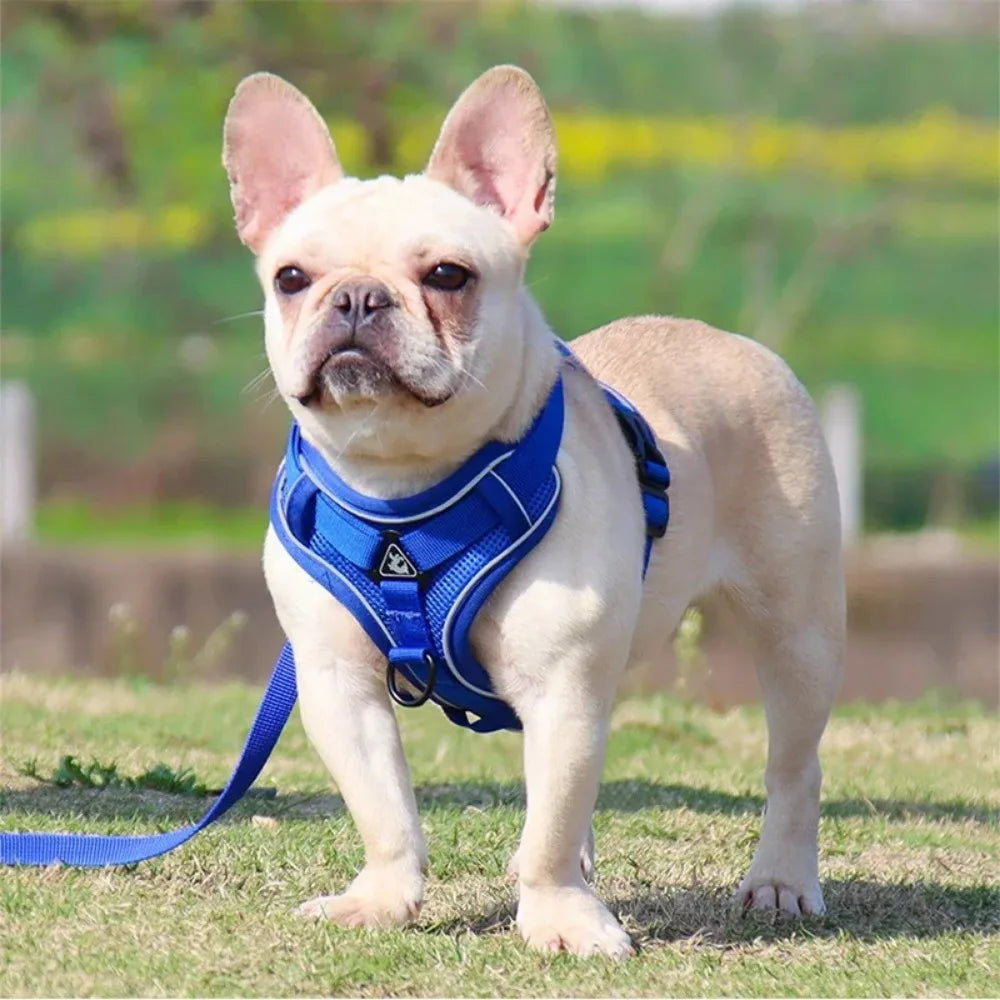 No Pull Dog Harness and Leash Set Adjustable Pet Harness Vest.