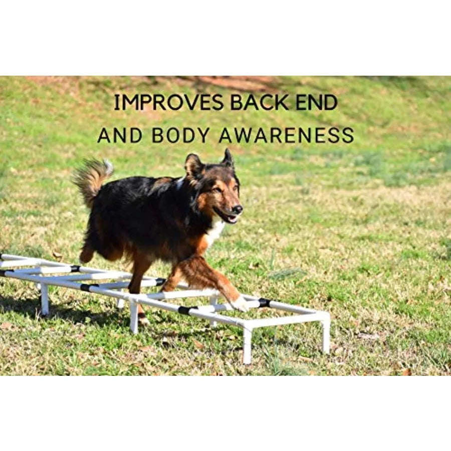Agility Training Ladder Dog Agility Training Equipment Dog Training Equipment