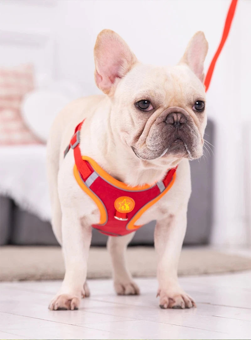 Small Medium Dogs Harness Vest Walking Traction Rope Reflective Straps.