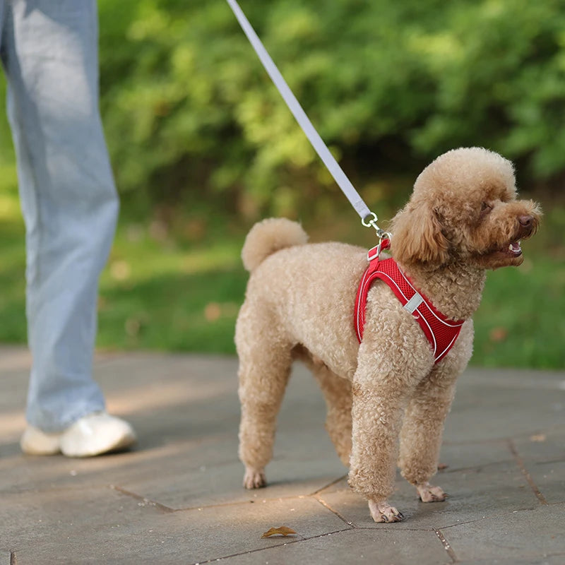 Dog Harness Leash Set for Small Dogs Adjustable