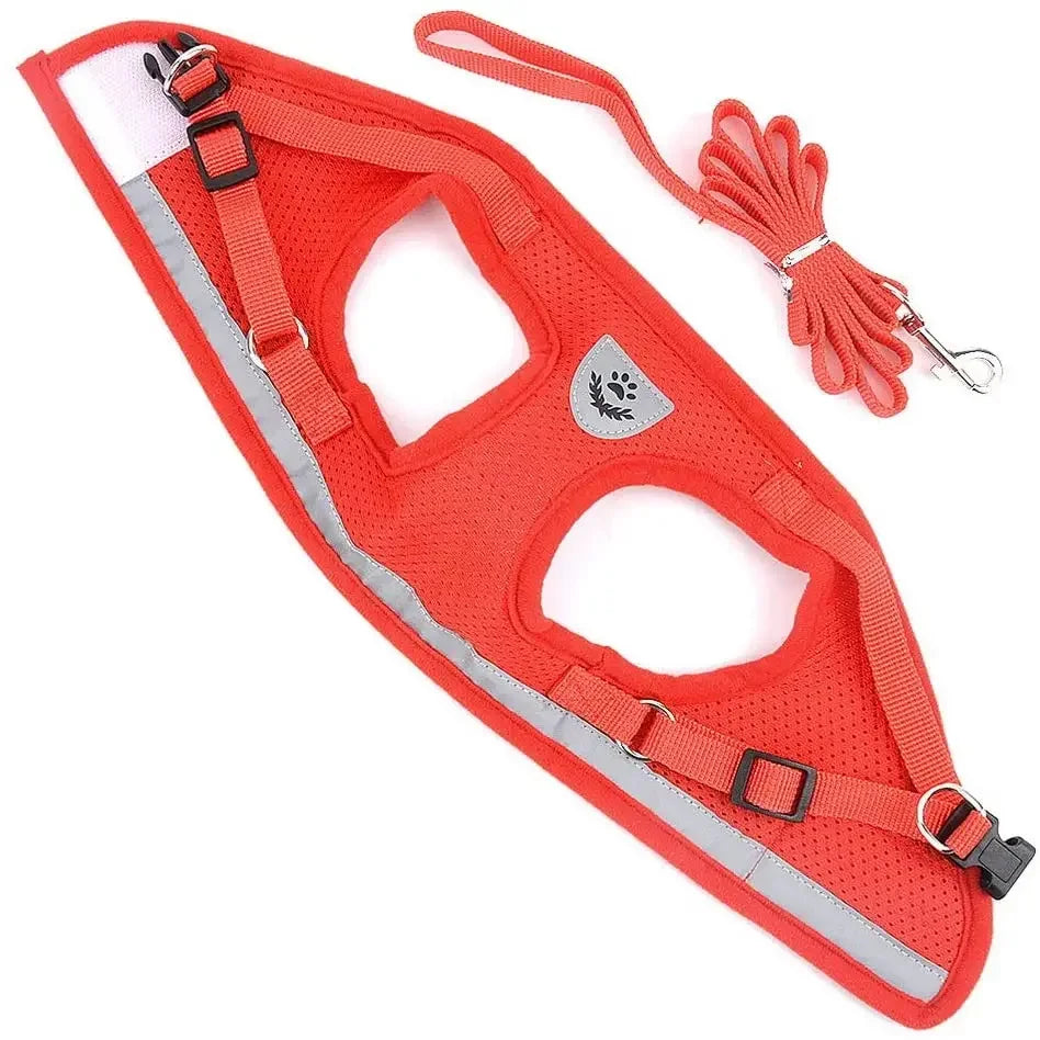 Reflective Breathable Small Dog Harness and Leash