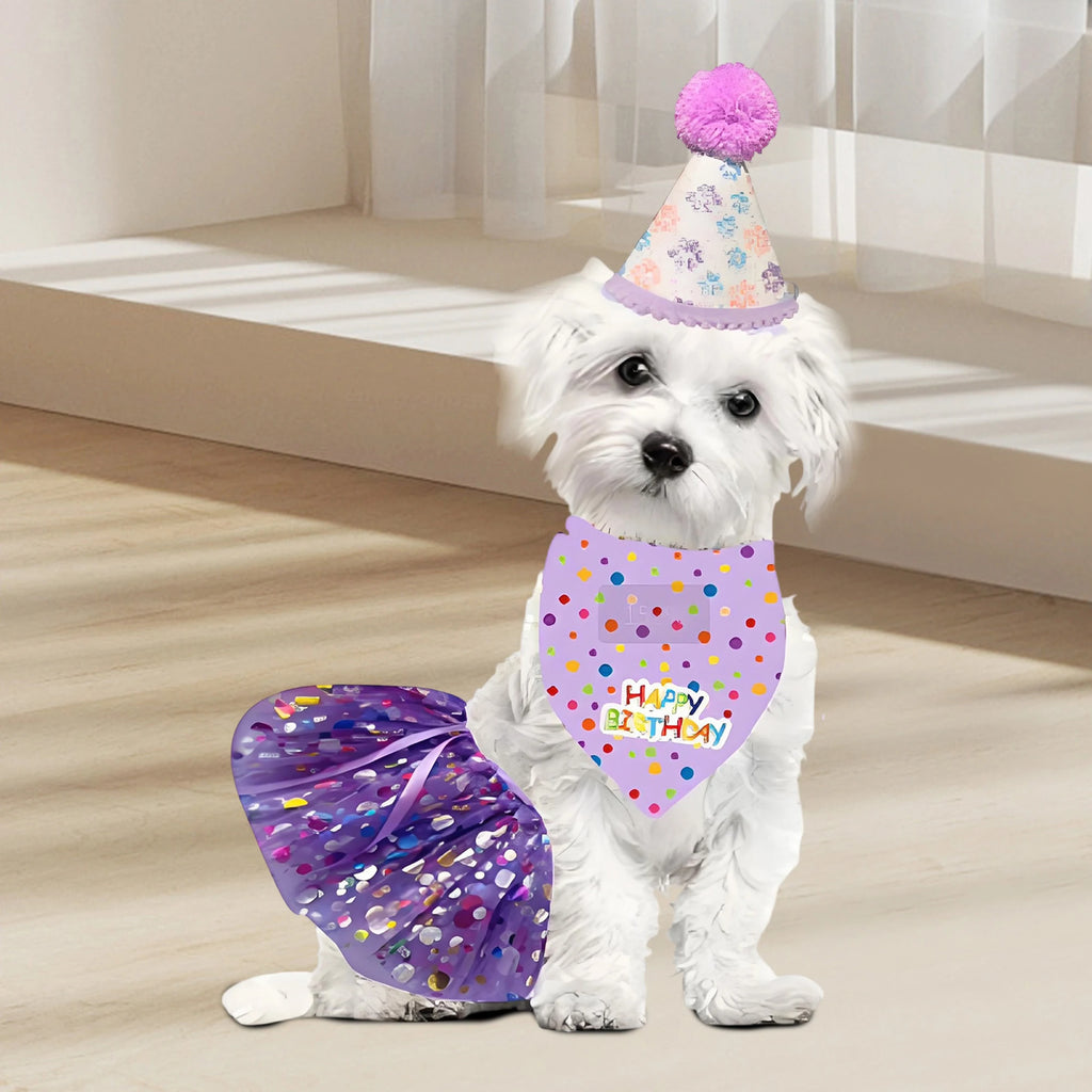 Birthday Costume Set Adorable Party Hat with Matching Skirt and Scarf
