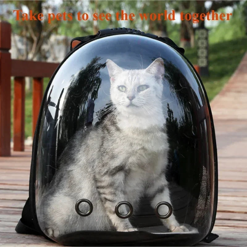 New Tepy Gravity Pet Auto Feeder Waterer