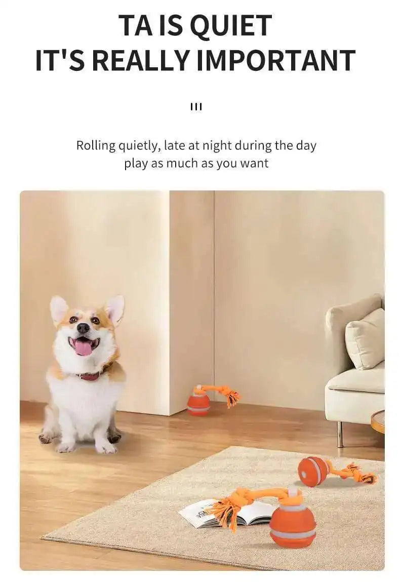 Interactive Teasing Ball With Motion Activated Automatic Moving Squeaky Dog Toy