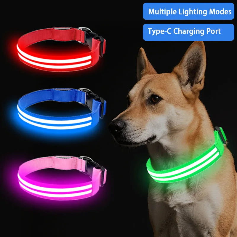 Light Up Dog Collar Night Walk Color LED Glowing