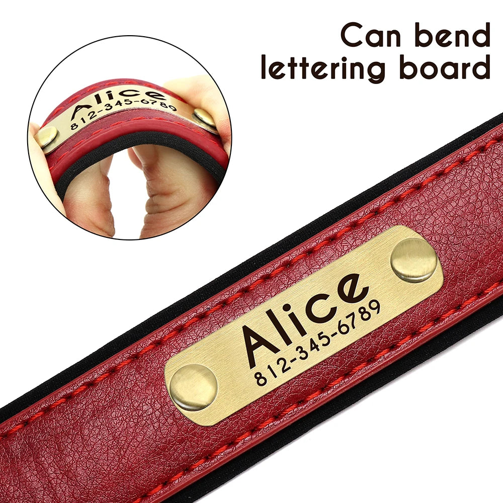 Leather Dog Collar Leash And Collar With Free Engraved Nameplate