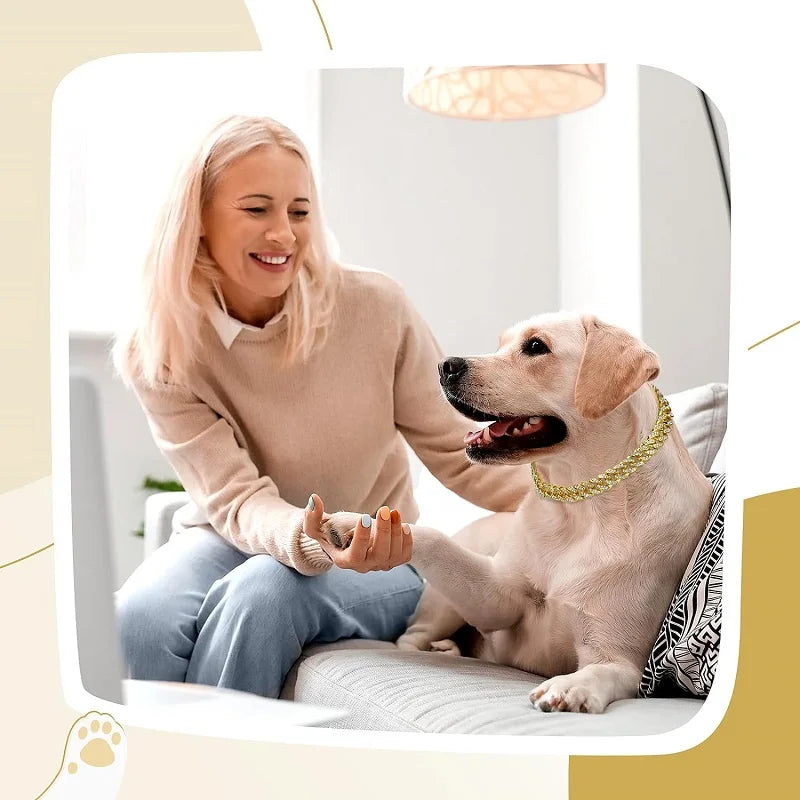 Luxury Gold Pet Metal Chain Collar For Small Medium Large Dogs