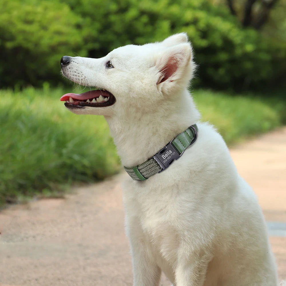 Personalized Nylon Dog Collar Adjustable Dog Collars Custom Pet Name