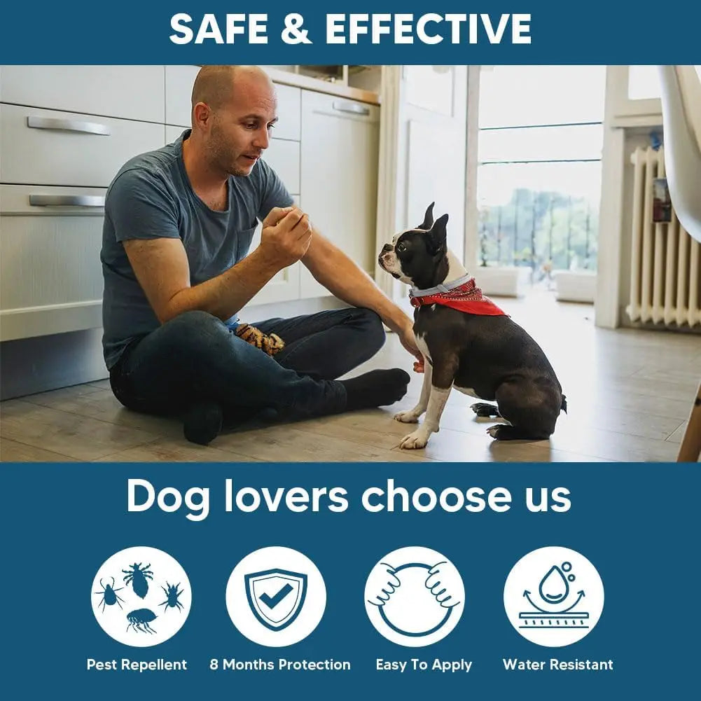 Effective Dog Flea & Tick Collar for Small Dogs, Lasts Up to 8 Months,