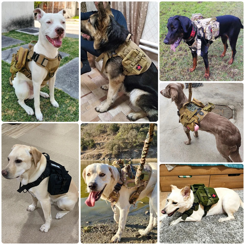 Large Harness for German Shepherd and Malinois Training