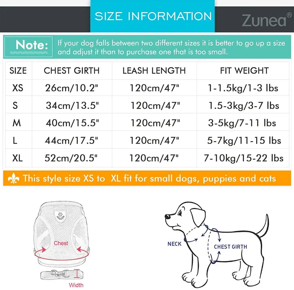 Reflective Breathable Small Dog Harness and Leash