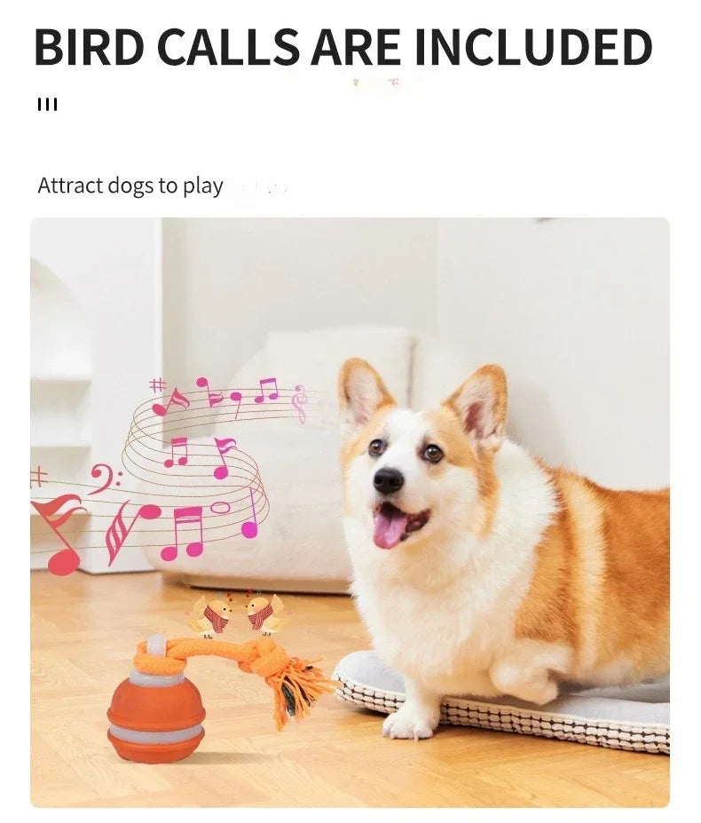 Pet Ball for Dogs Interactive Motion Activate Rolling Ball.