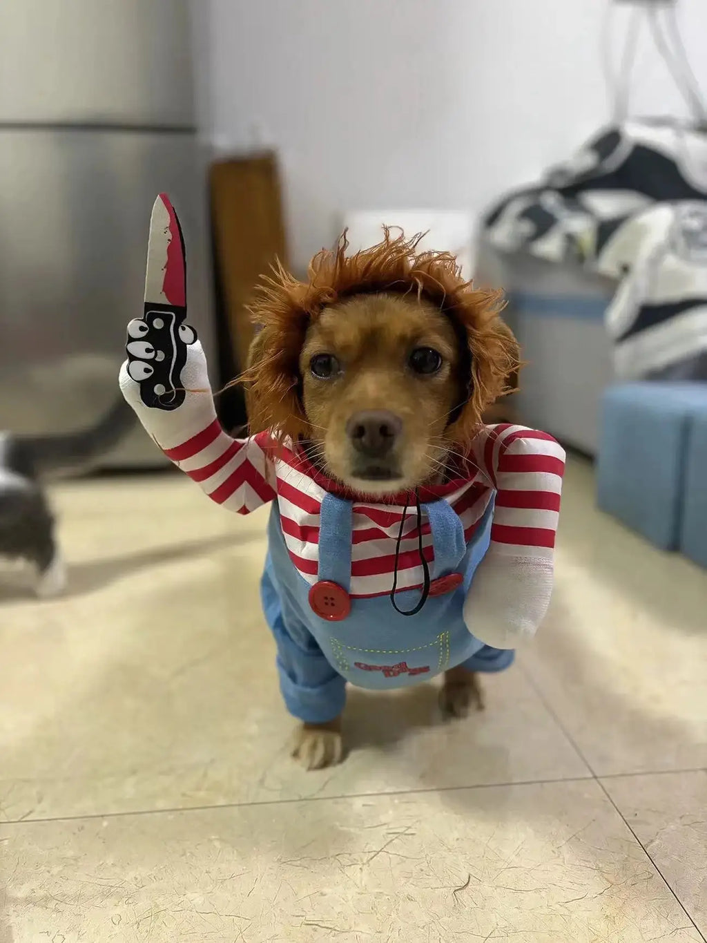 Halloween Funny Dog Clothes for Small Medium Dogs