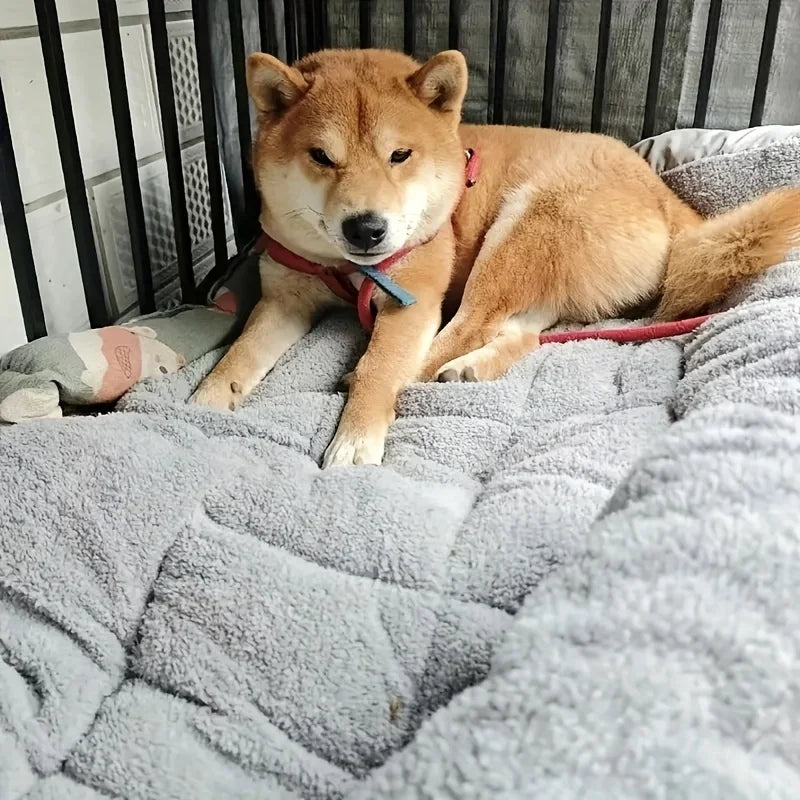 Oversized Plush Dog Bed Sofa Crate Pad Ultra Soft