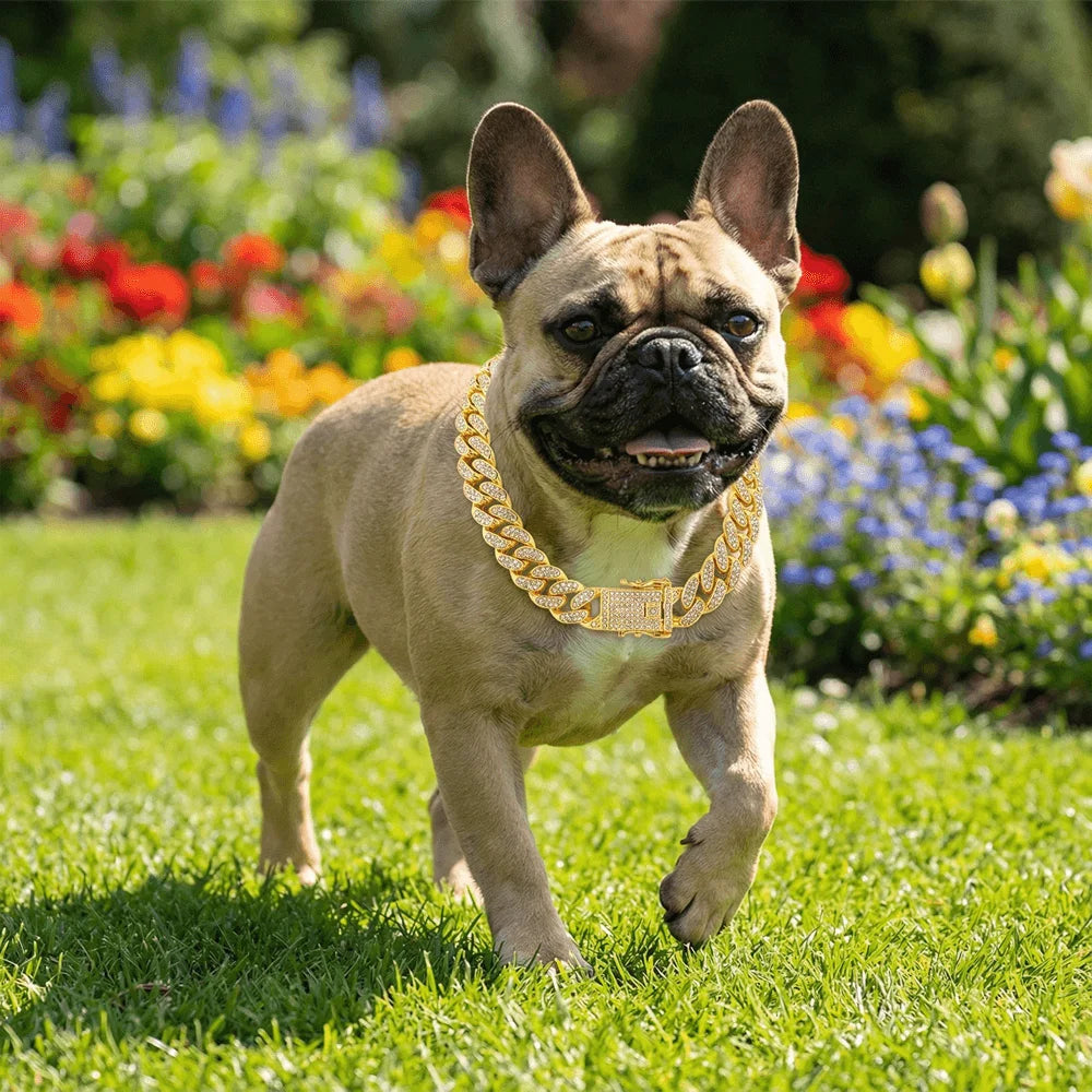 Luxury Hip Hop Dog Collar, Gold Tone Stainless Steel Chain,