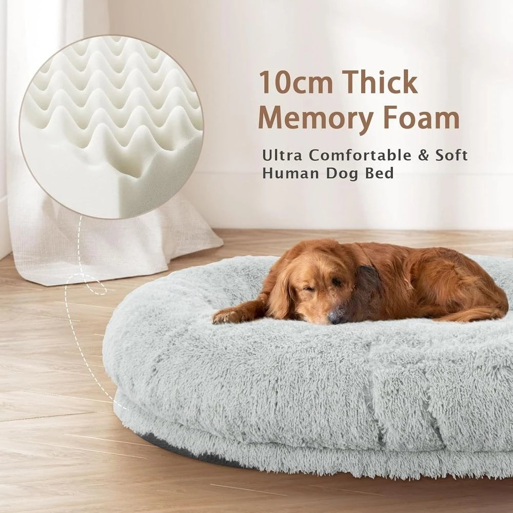 Oversized 71x45x12 Grey Memory Foam Dog Bed with Pillow, Blanket & Strap