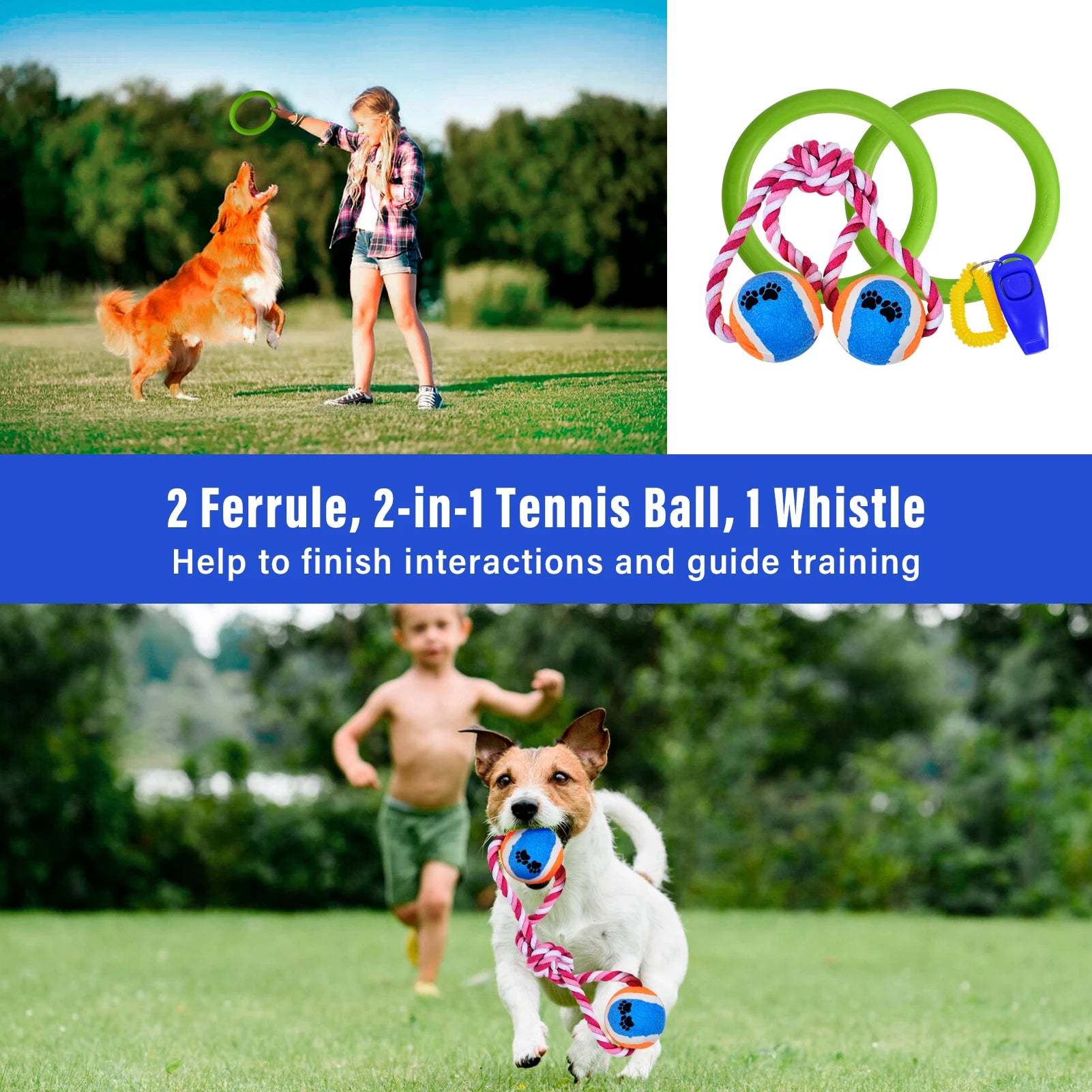 Dog Agility Course Set Dog Training Kit with 2 Tunnels.