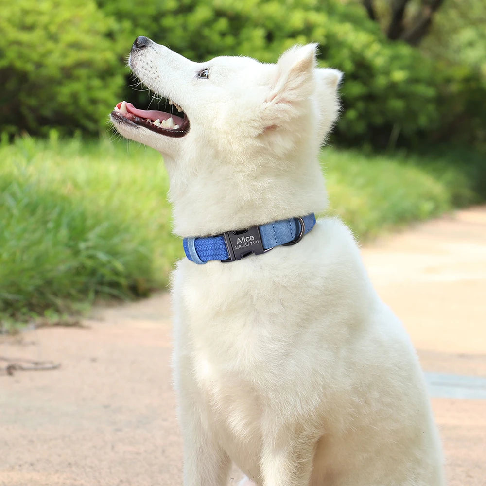 Personalized Nylon Dog Collar Adjustable Dog Collars Custom Pet Name