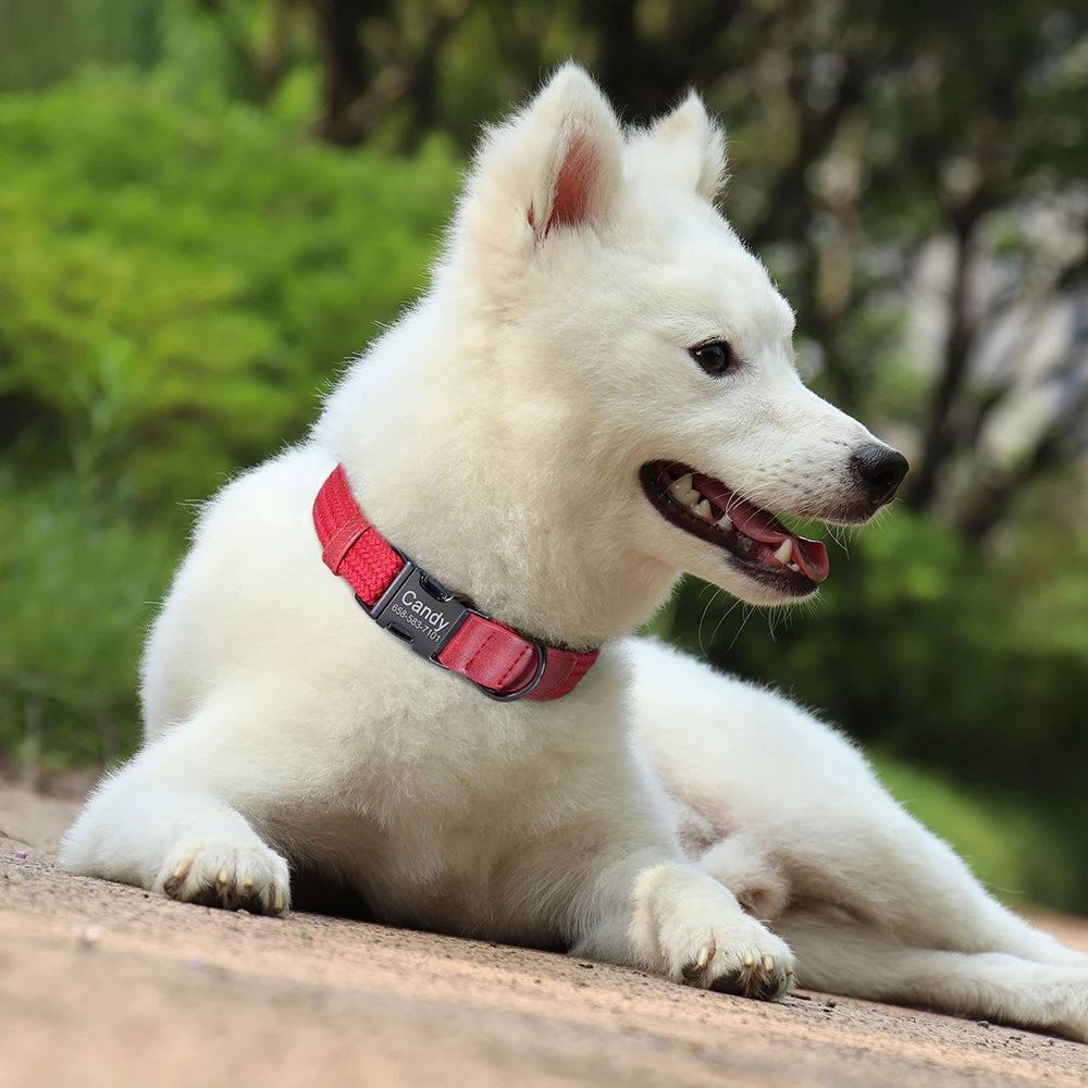 Personalized Nylon Dog Collar Adjustable Dog Collars Custom Pet Name