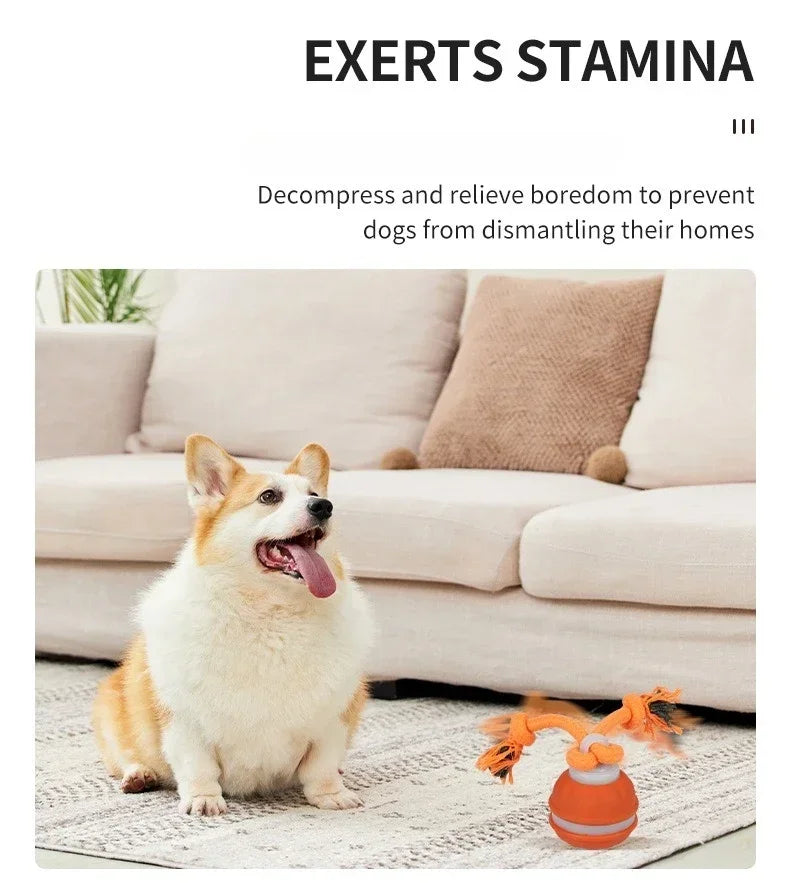 Pet Ball for Dogs Interactive Motion Activate Rolling Ball.