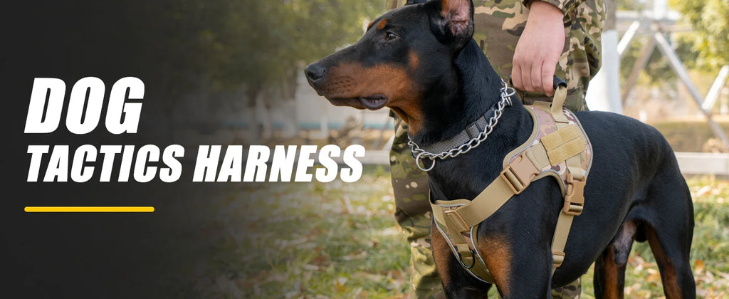Tactical Dog Harness Doberman Pinscher Pet Training Vest