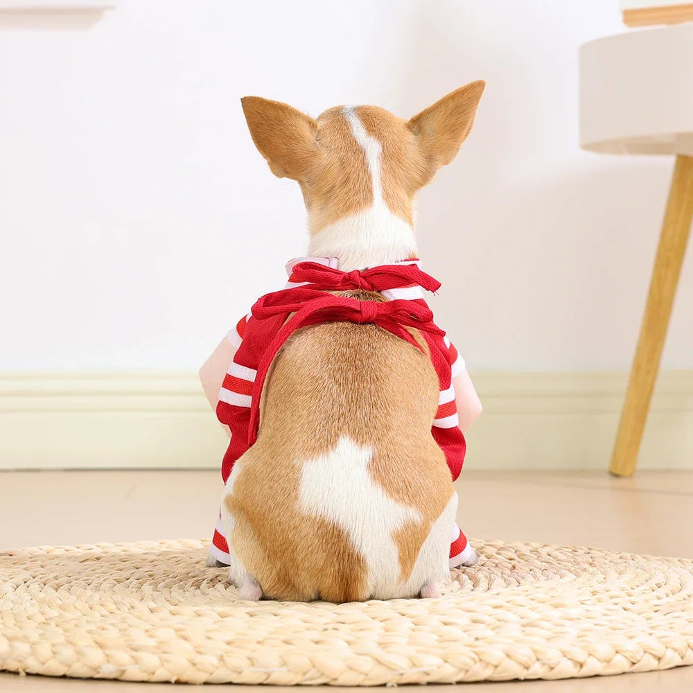 Funny Basketball Cosplay Pet Costume