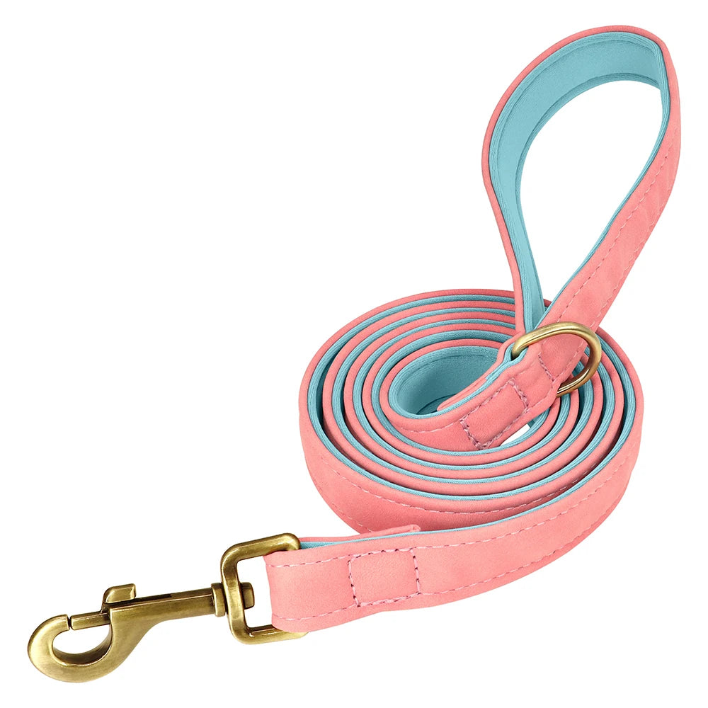 Leather Dog Collar Leash And Collar With Free Engraved Nameplate