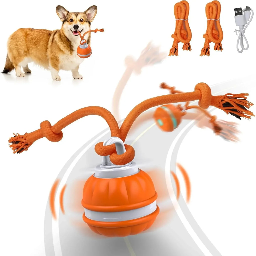 Pet Ball for Dogs Interactive Motion Activate Rolling Ball.