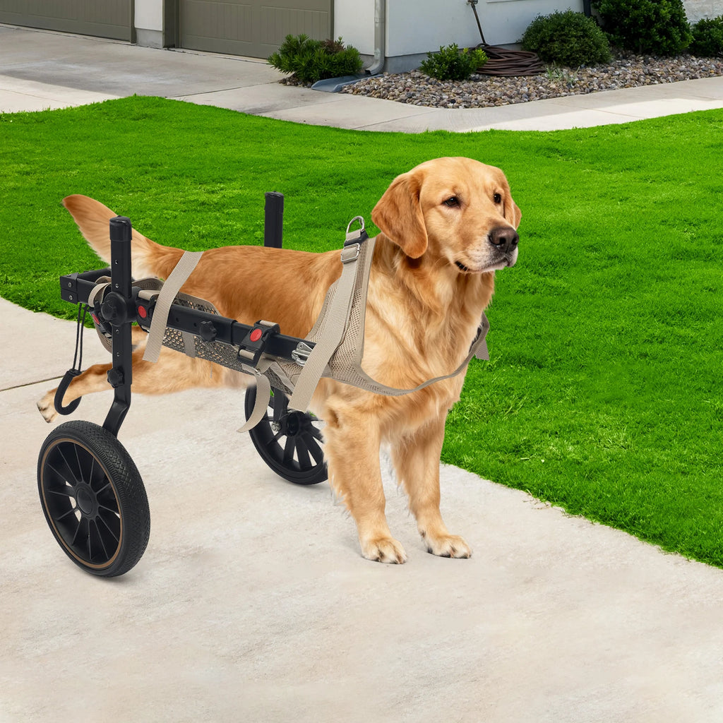 XL Pet Rehabilitation Walking Aid Stable and Reliable 2-wheel Dog Wheelchair