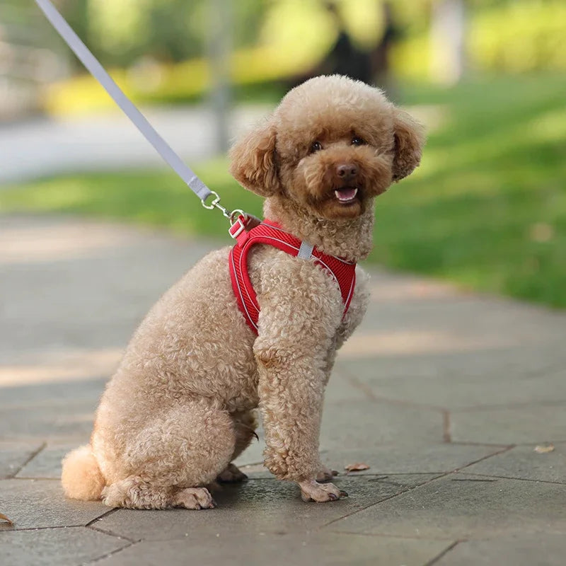Adjustable Harness for  Puppy or Cat