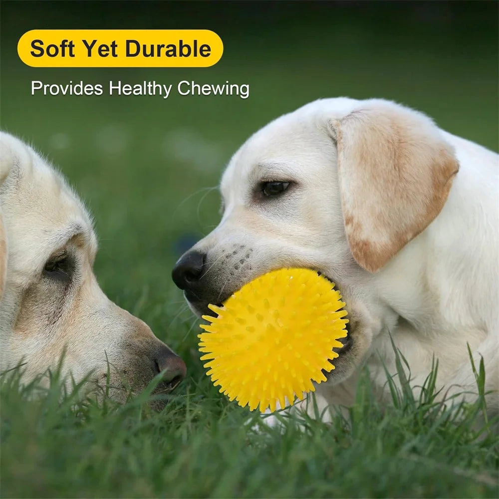 6pcs Dog Toy Balls, BPA Free Non-Toxic Plastic, Durable Spikey