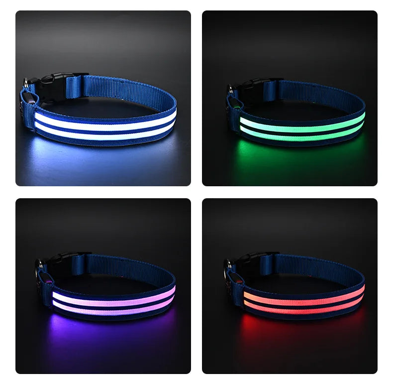 Light Up Dog Collar Night Walk Color LED Glowing