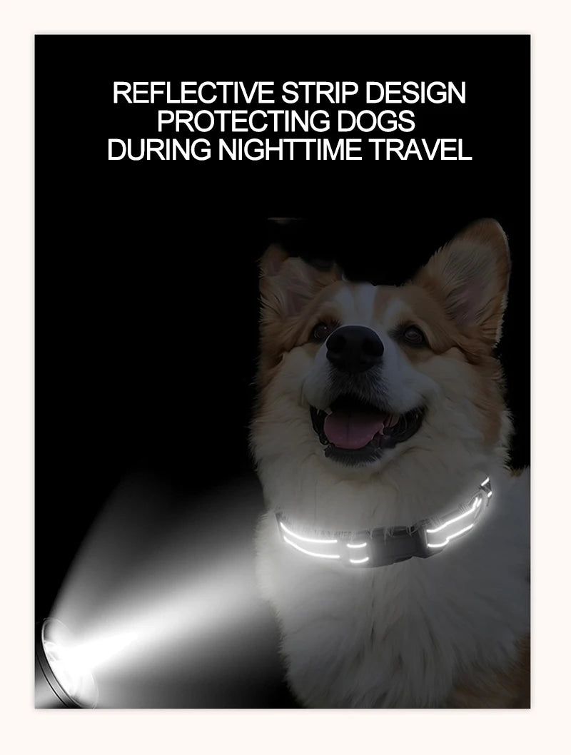 Choker Neck Collars for Dogs