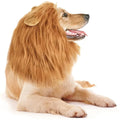 Cute Pet Dog Cosplay Clothes Lion Mane For Dog Costumes