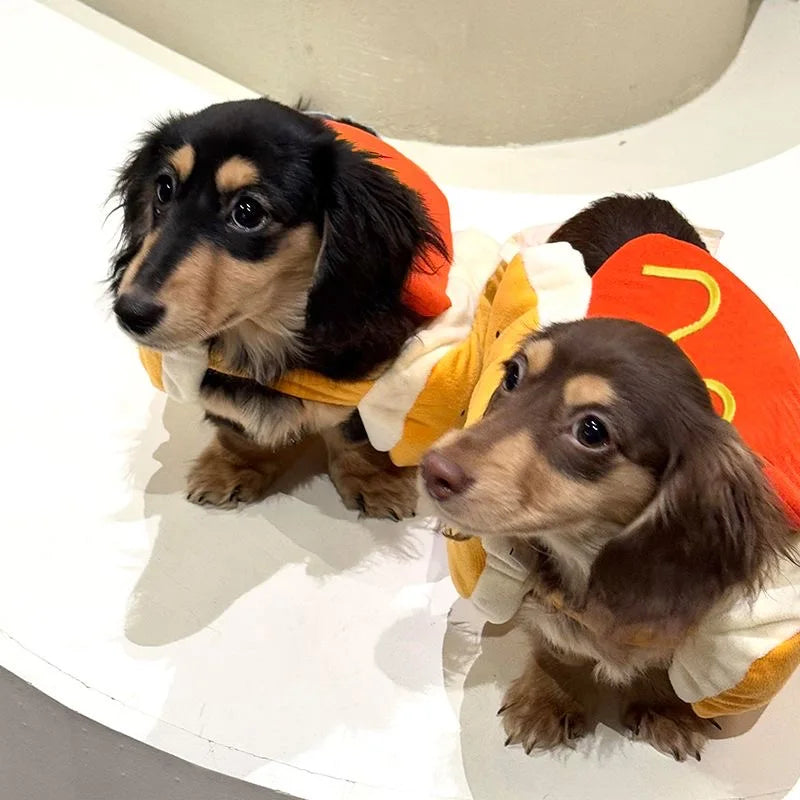 Funny Halloween Dog Costumes Large Small Dogs