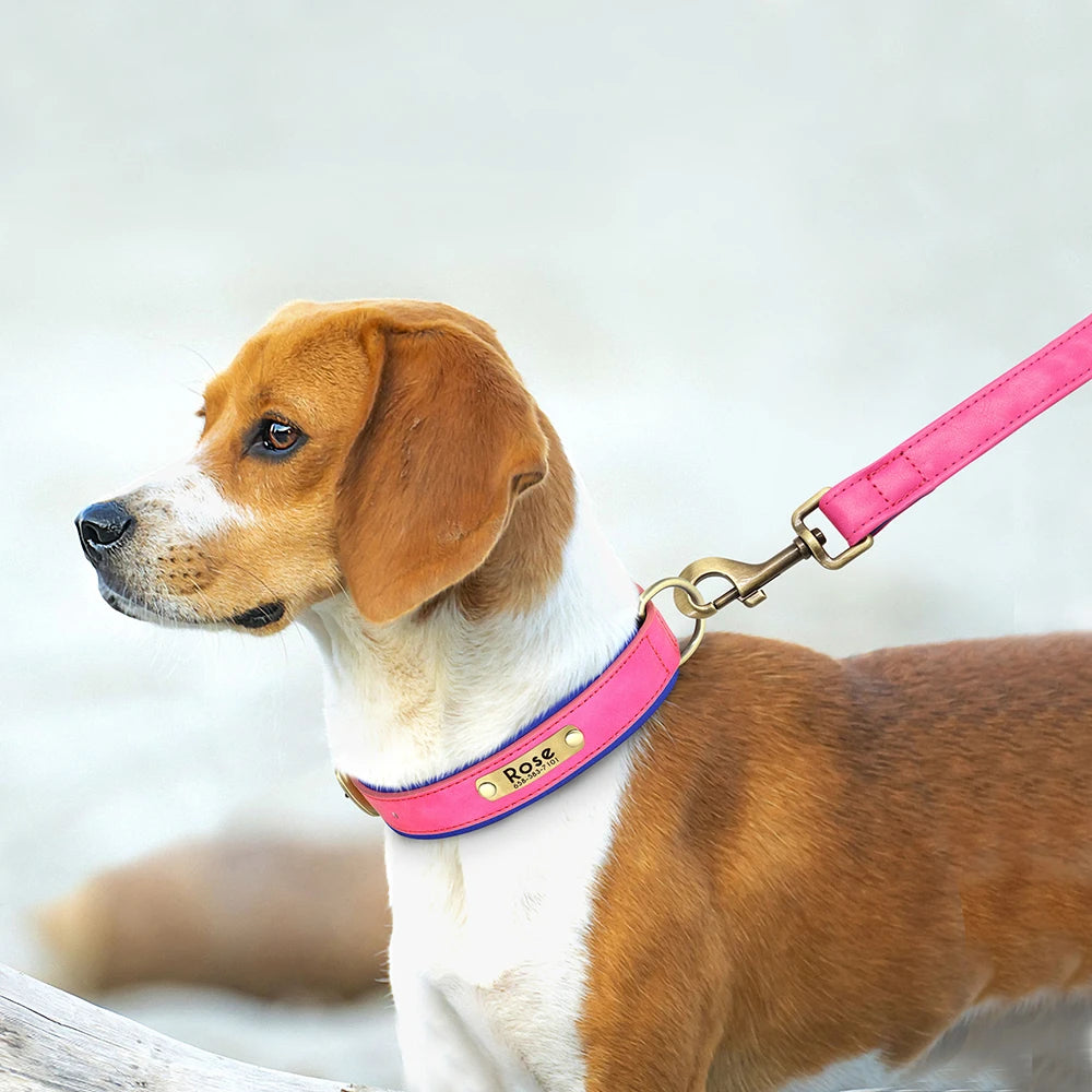 Leather Dog Collar Leash And Collar With Free Engraved Nameplate