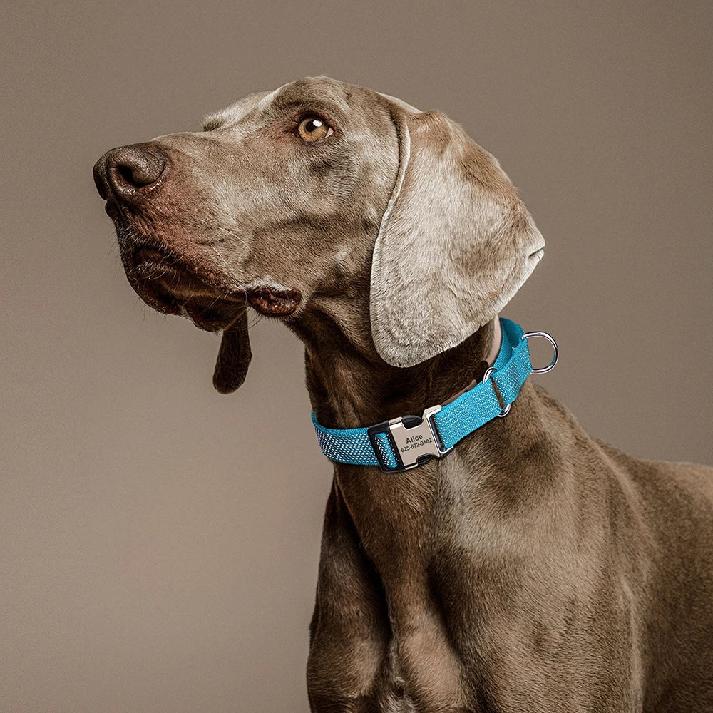 Custom Dog Martingale Collar Nylon Reflective Dog Collars With Engraving