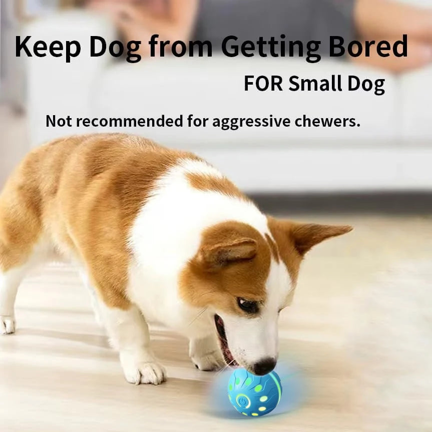 Pet Play Toy Ball, Electric Dog Ball, USB Rechargeable