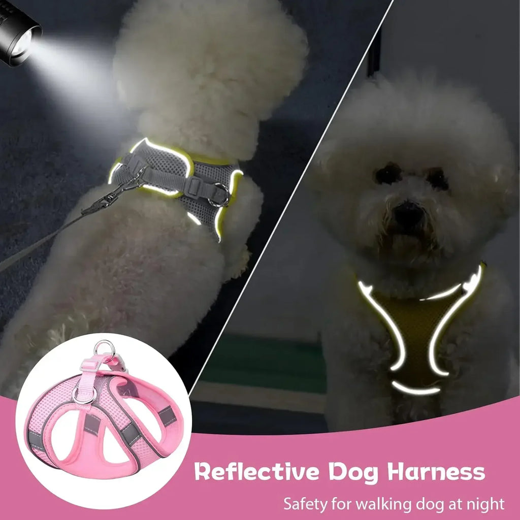 Escape-Proof Dog Harness and Leash Set for Small Dogs